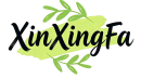 xinxingfa