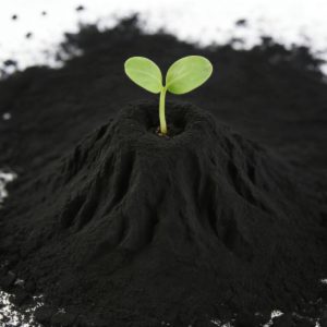 Biochar
